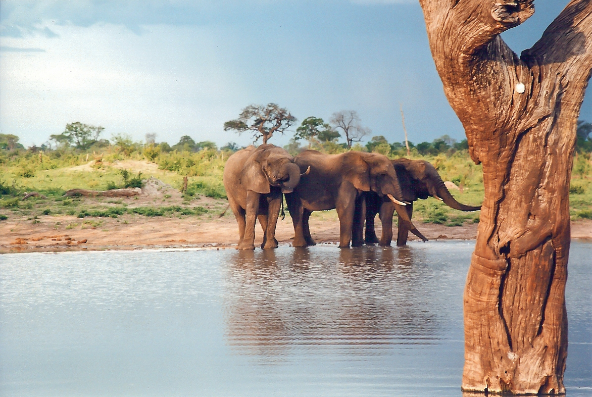 Hwange National Park