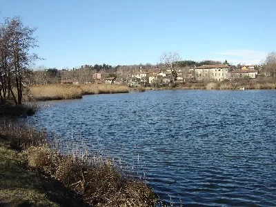 Lago di Sartirana