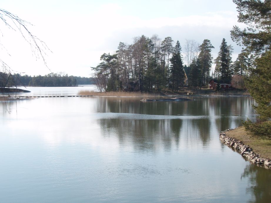 Kotisaari