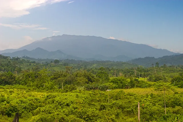 Mount Mantalingajan