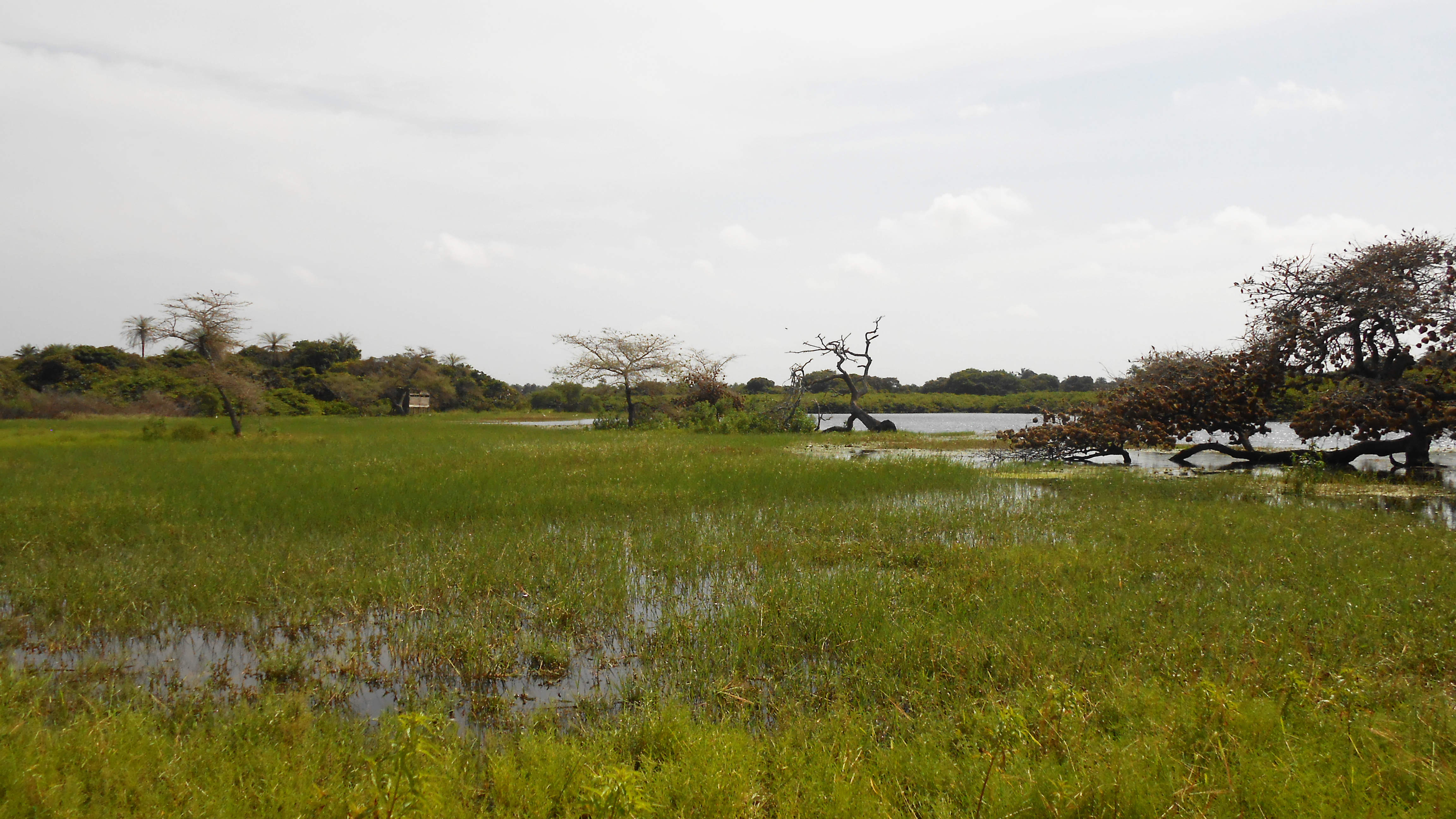 Orango Islands National Park
