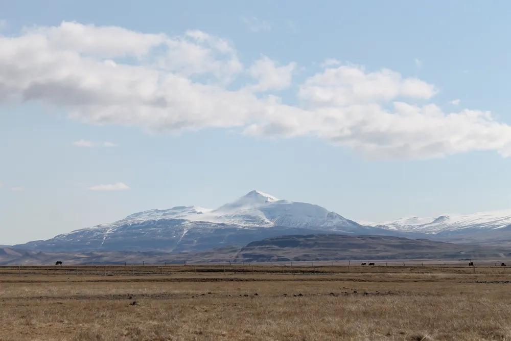 Mælifellshnjúkur
