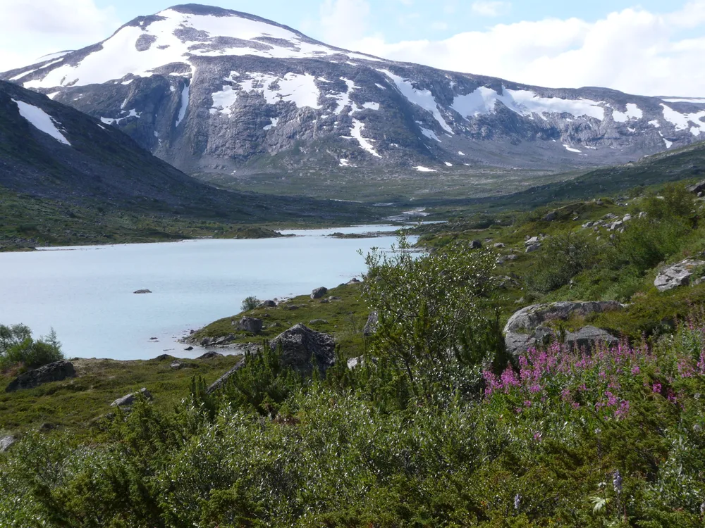 Breheimen National Park