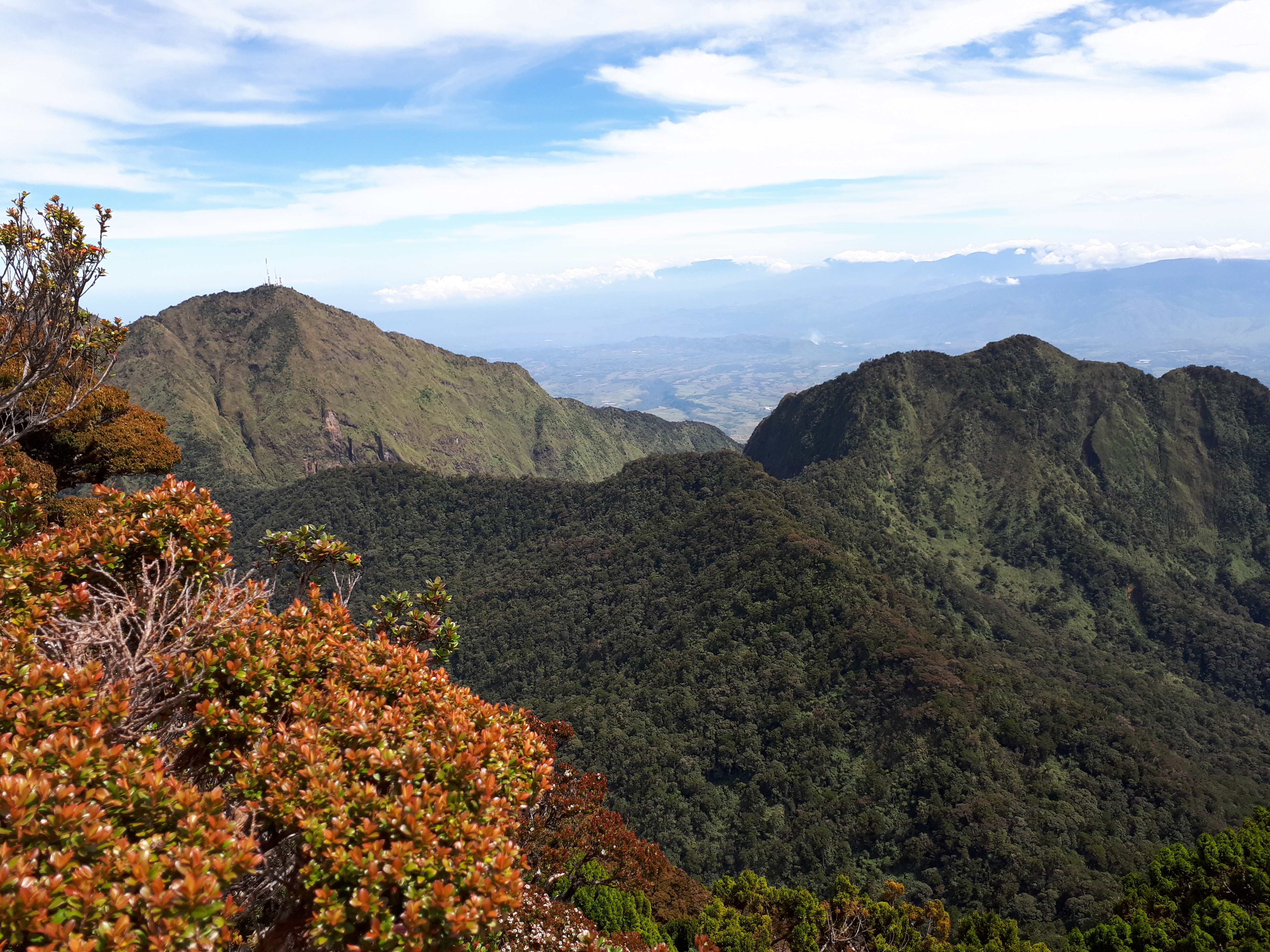 Mount Kitanglad
