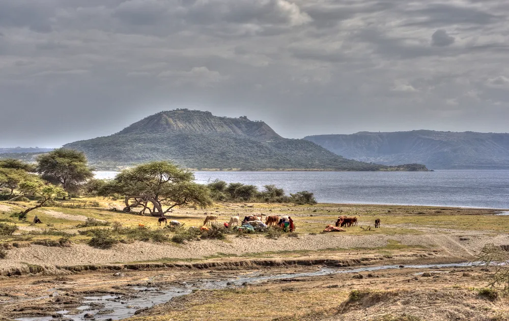 Abijatta-Shalla National Park