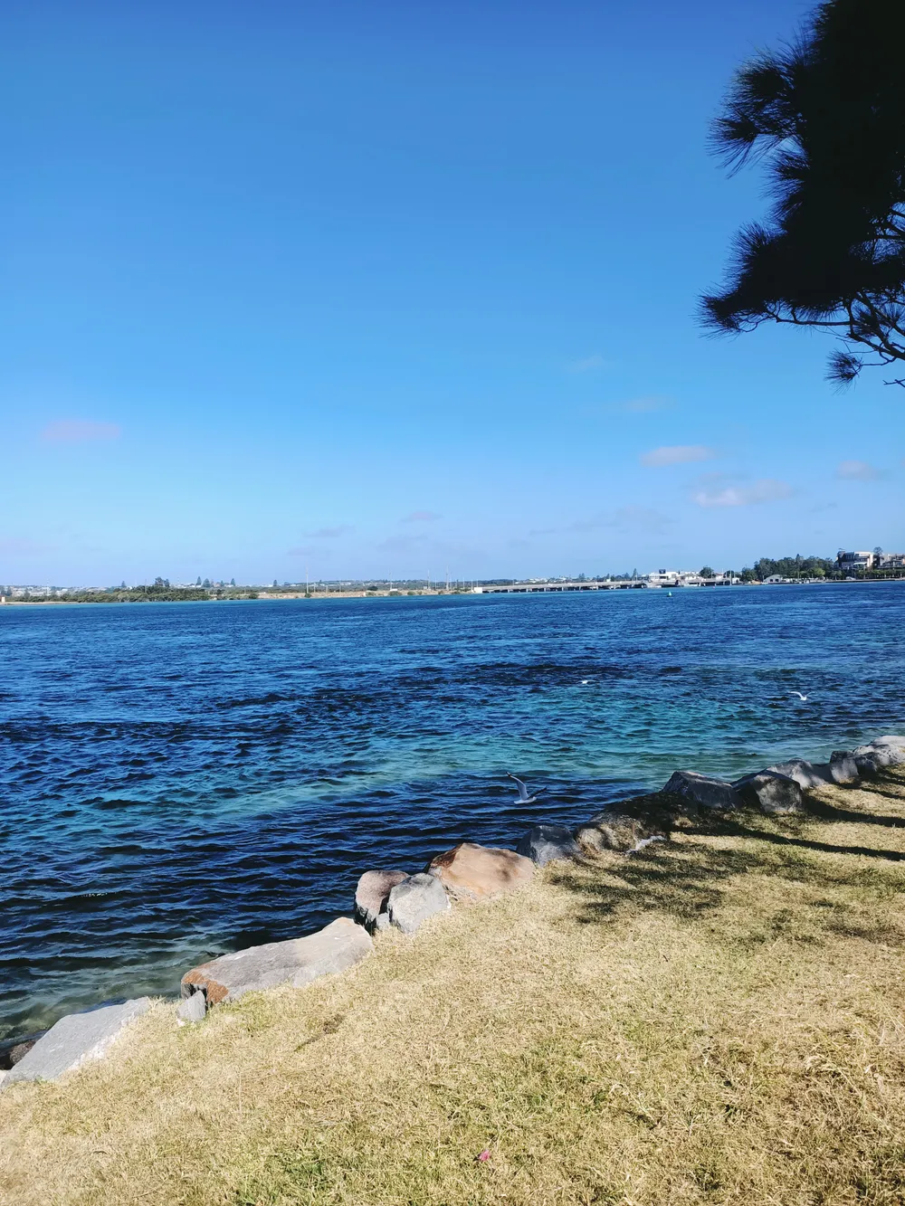 Lake Macquarie