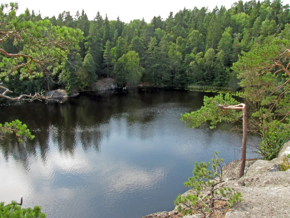 Abborrträsk