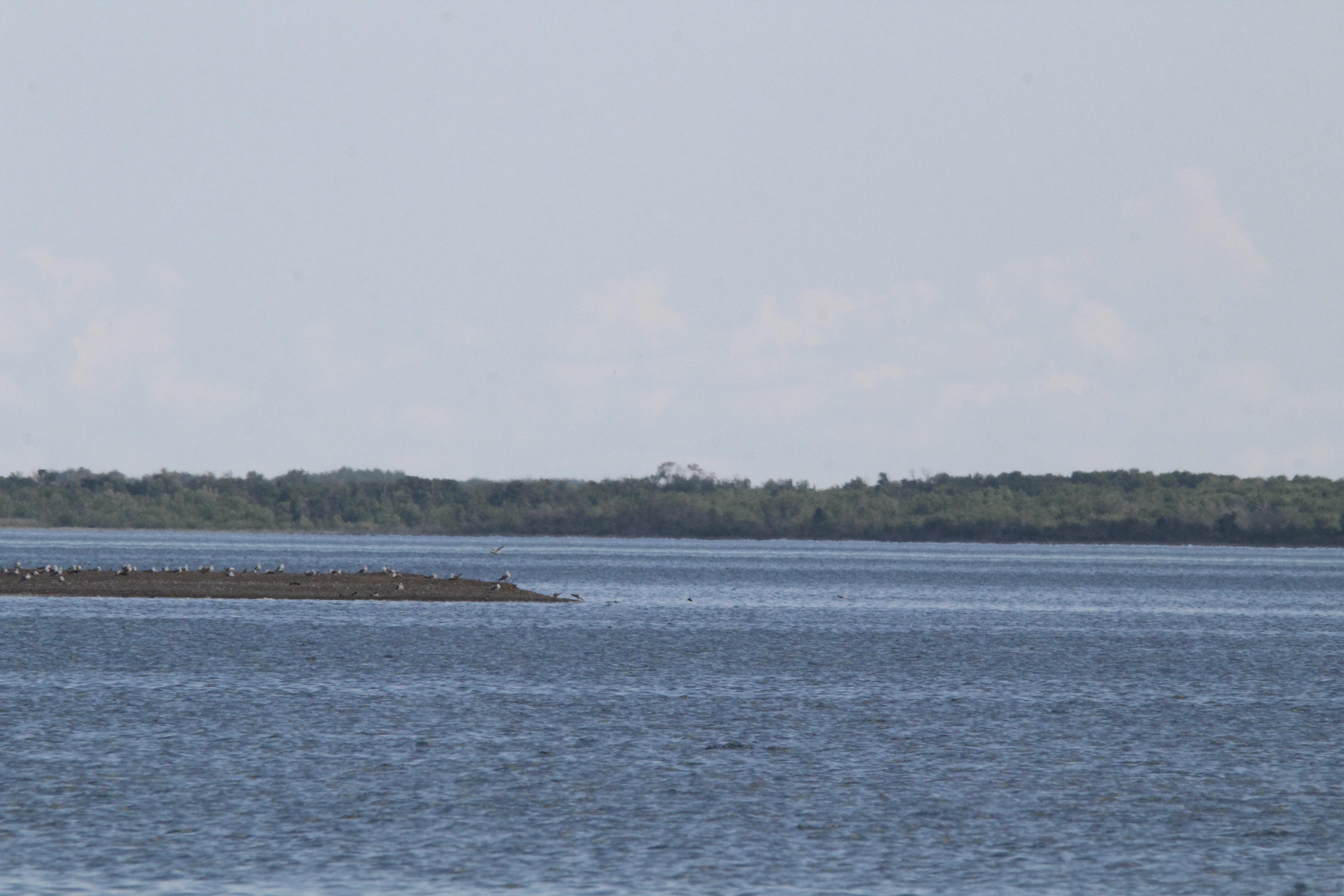 Buffalo Lake