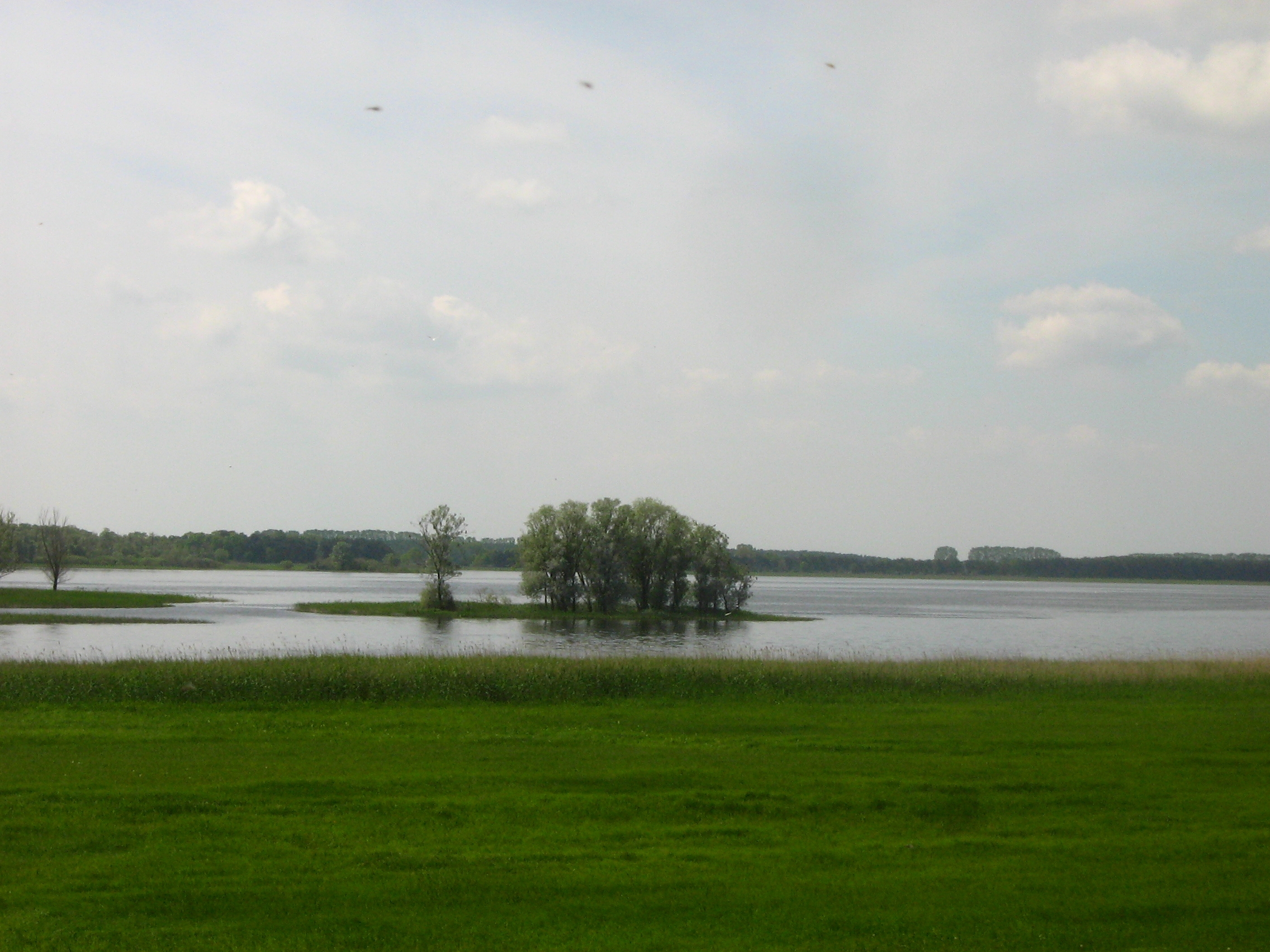 Gülper See