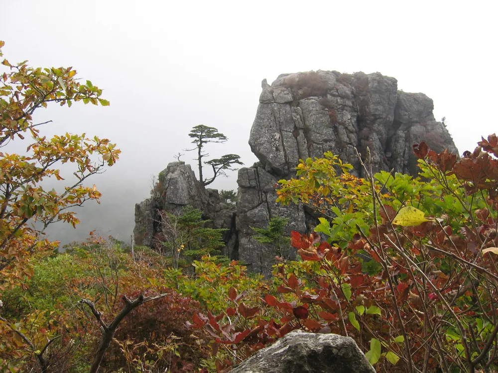 Jirisan National Park
