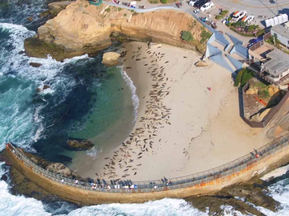 Children's Pool Beach