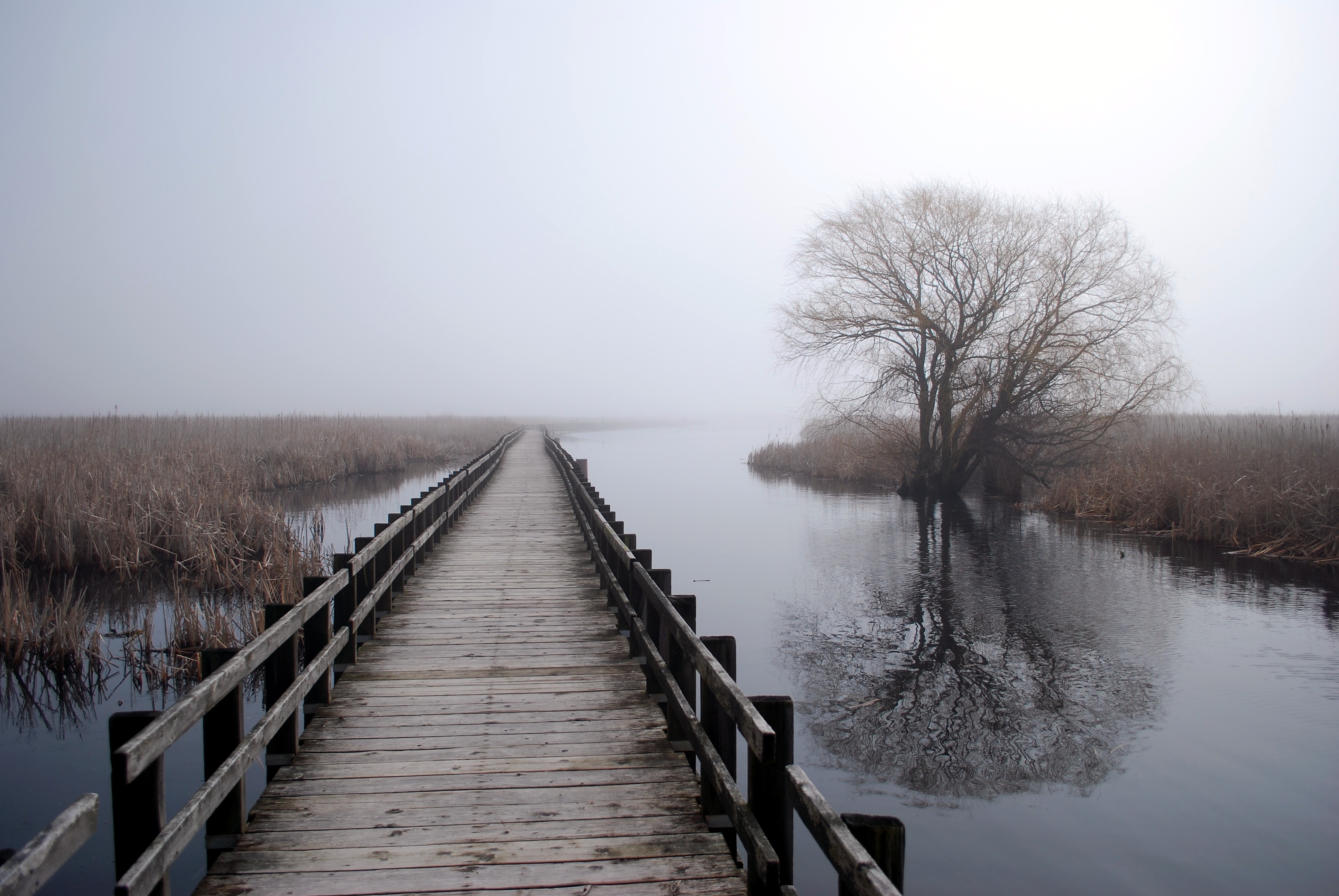 Point Pelee National Park