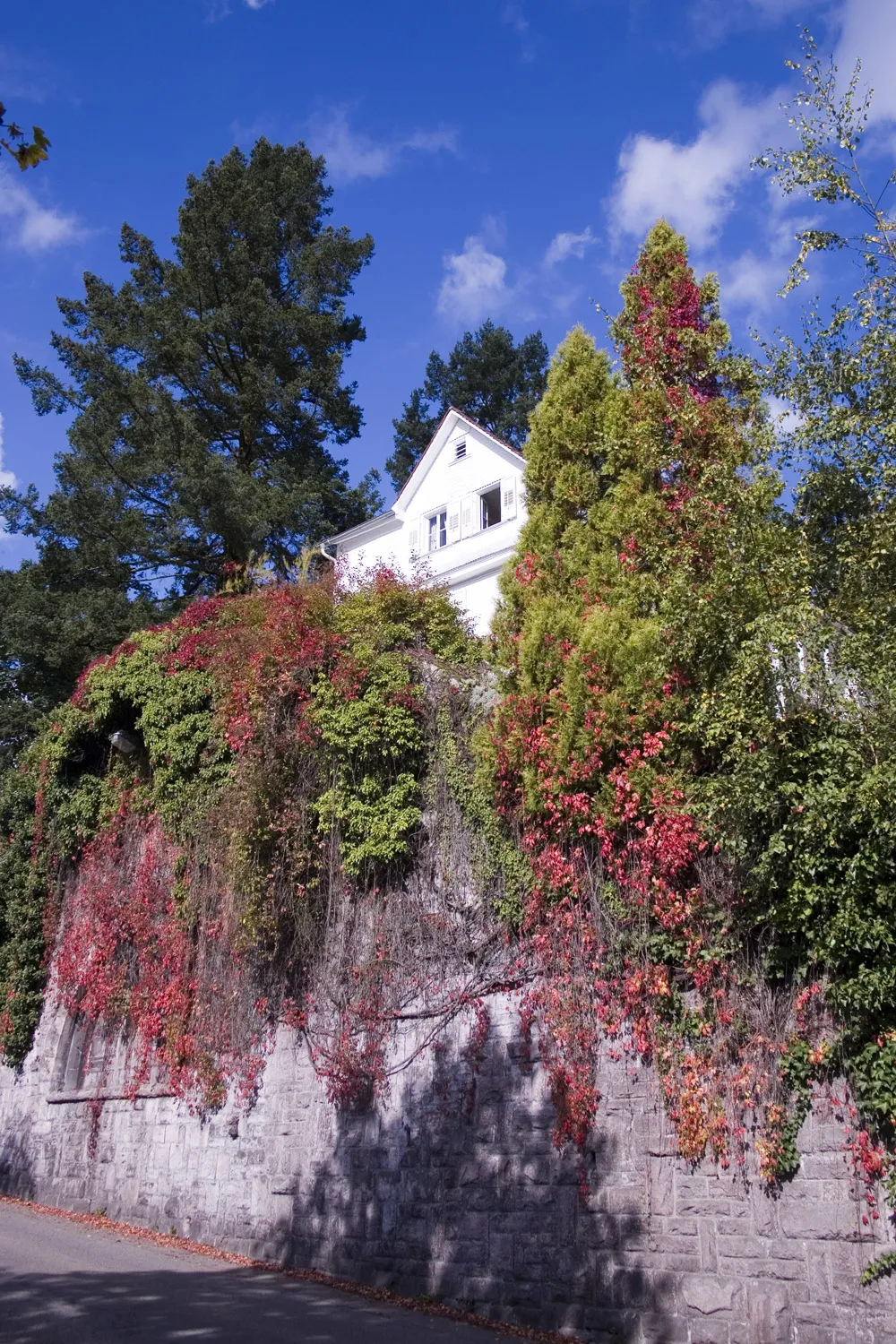 Brahms House