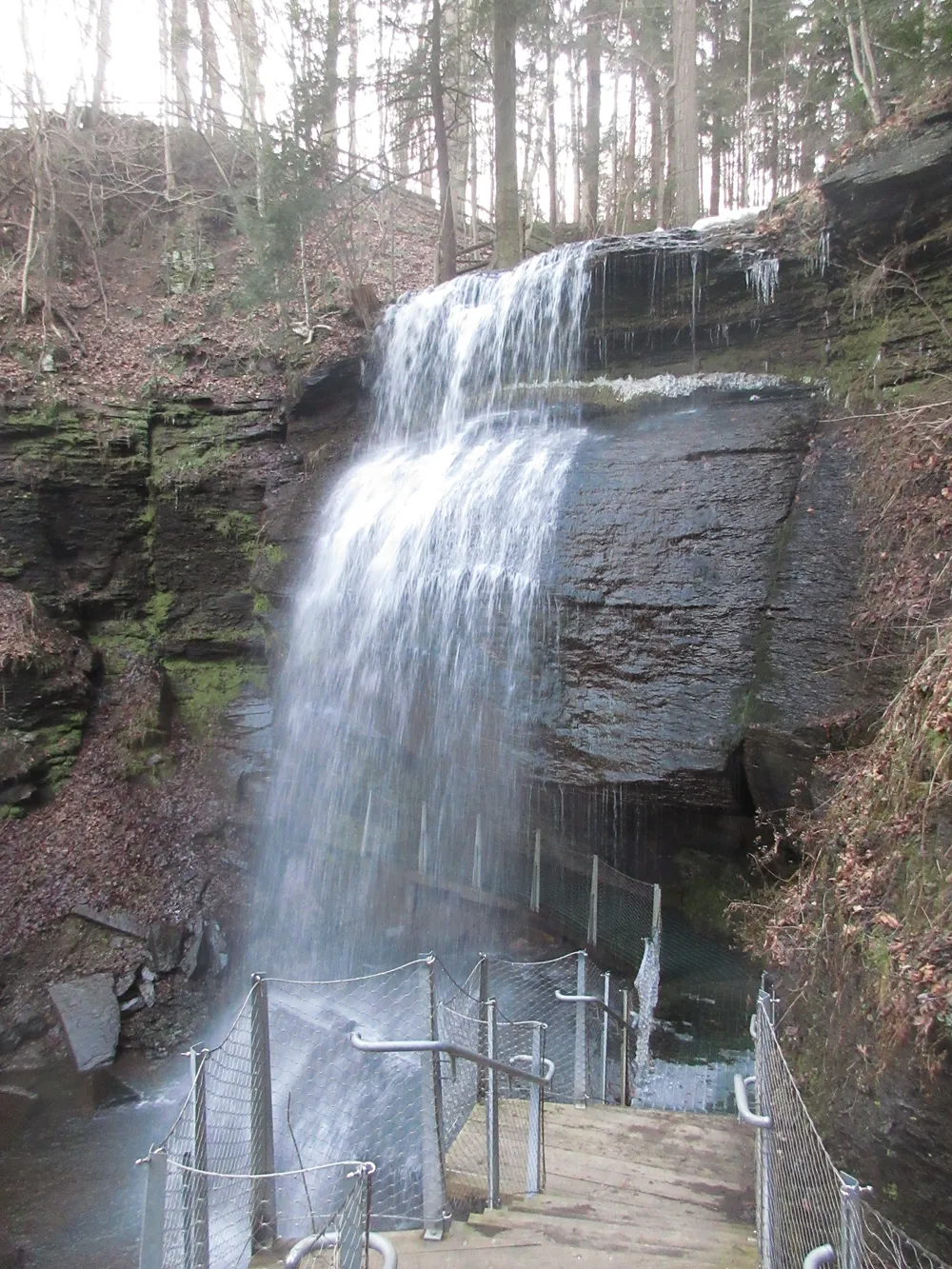Buttermilk Falls Natural Area