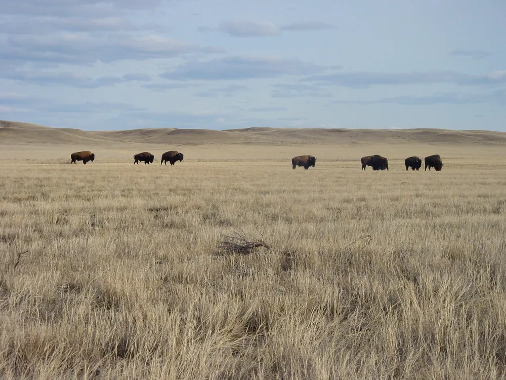 Grasslands National Park