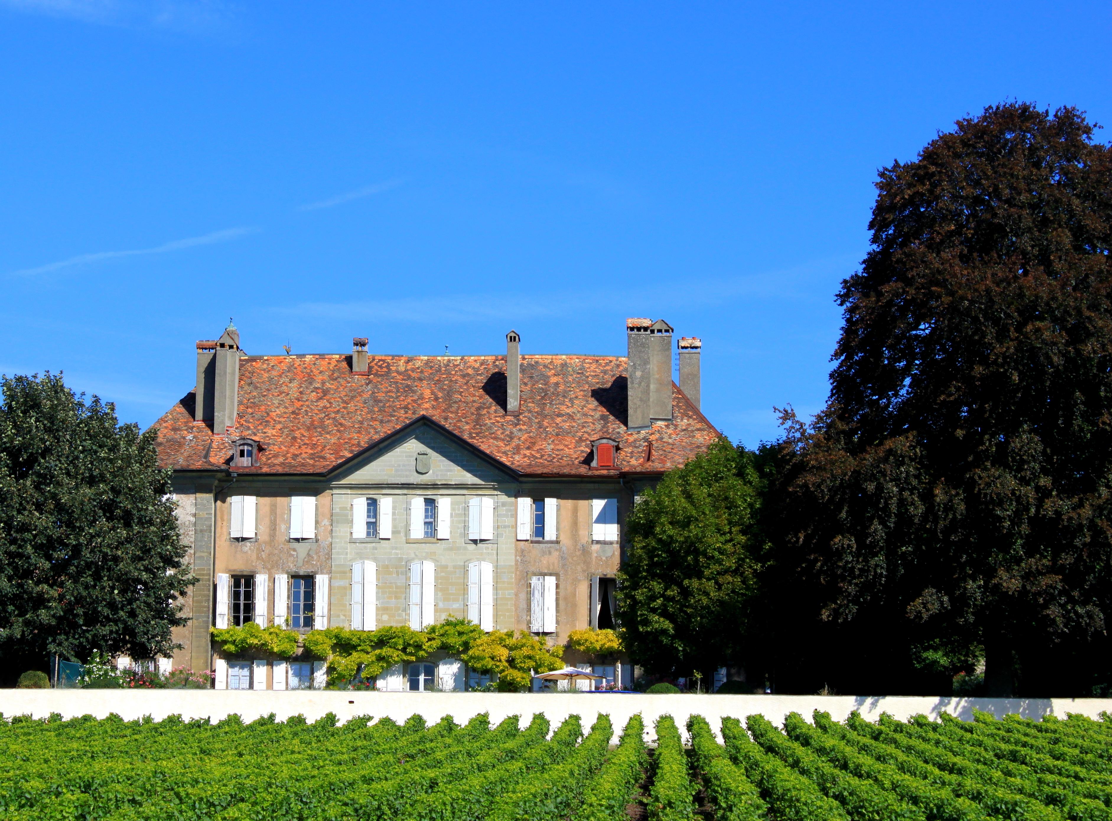 Mestral Château