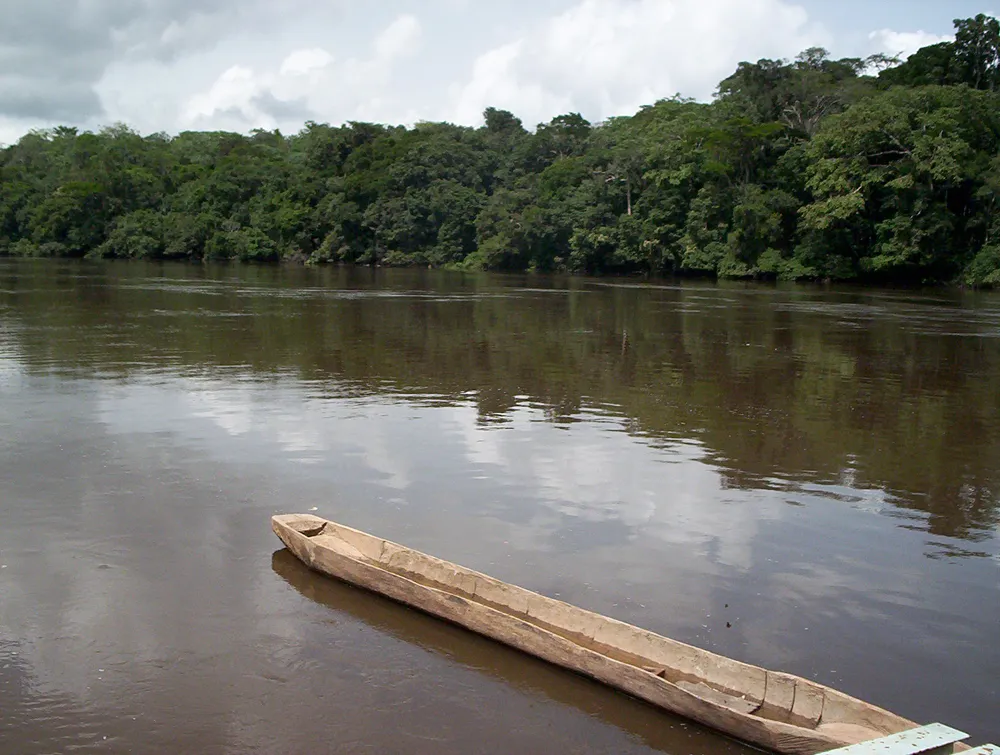Dja Faunal Reserve