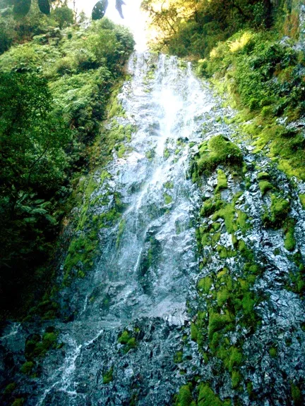 La Tigra National Park, Honduras