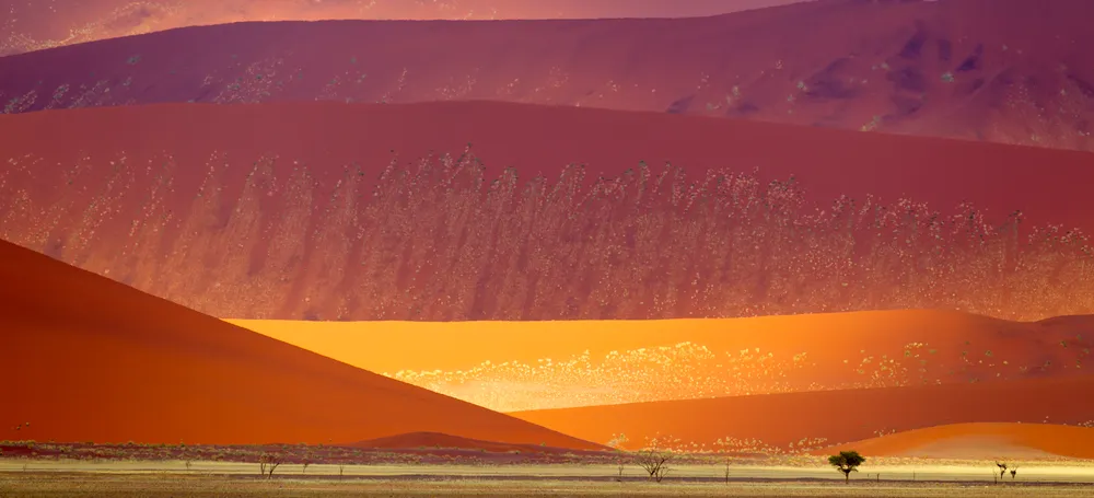 Namib-Naukluft National Park