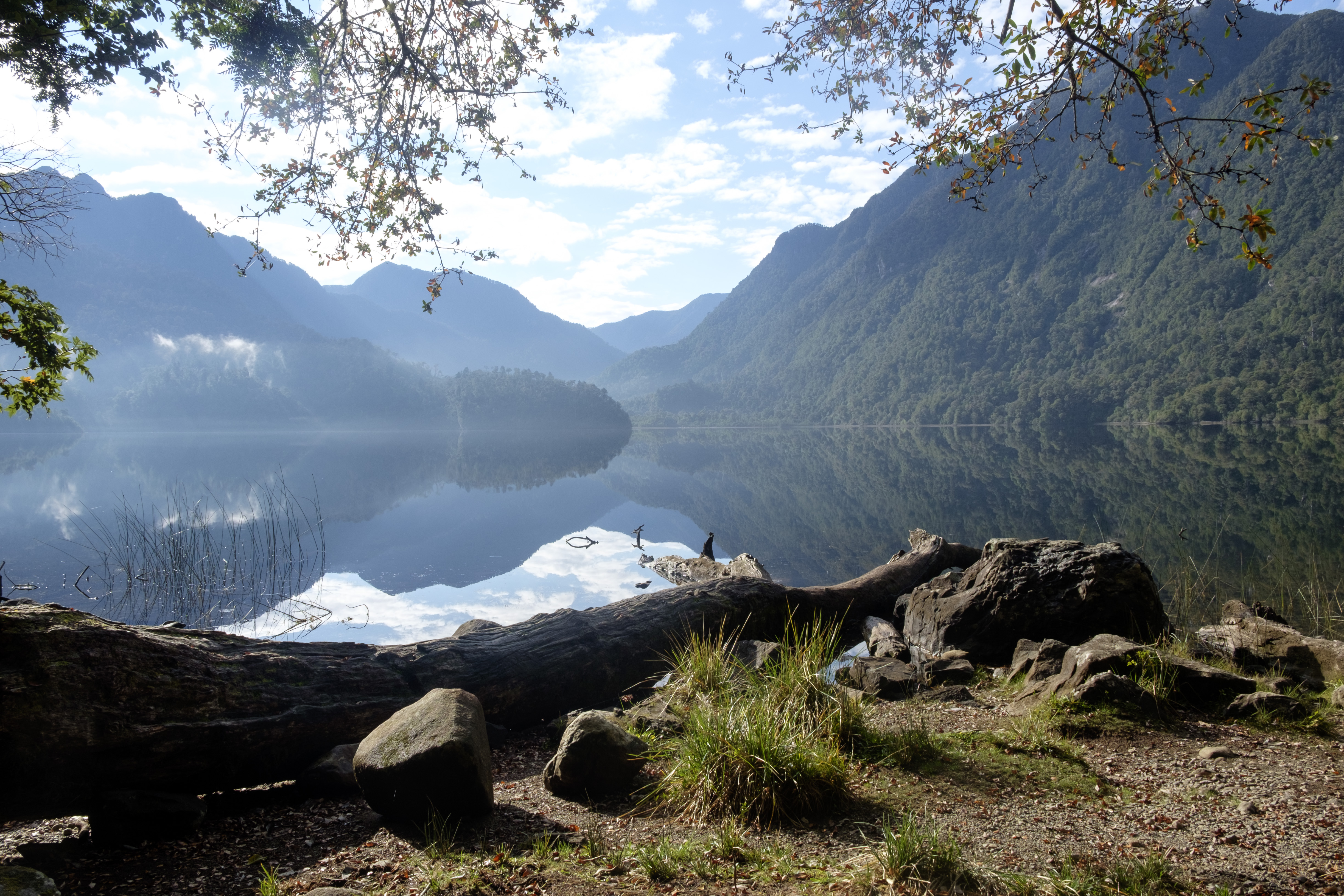 Alerce Andino National Park