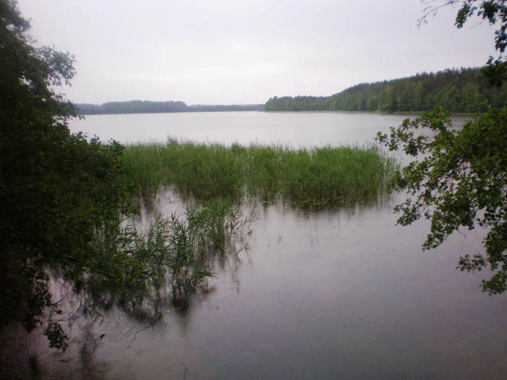 Šakarvai