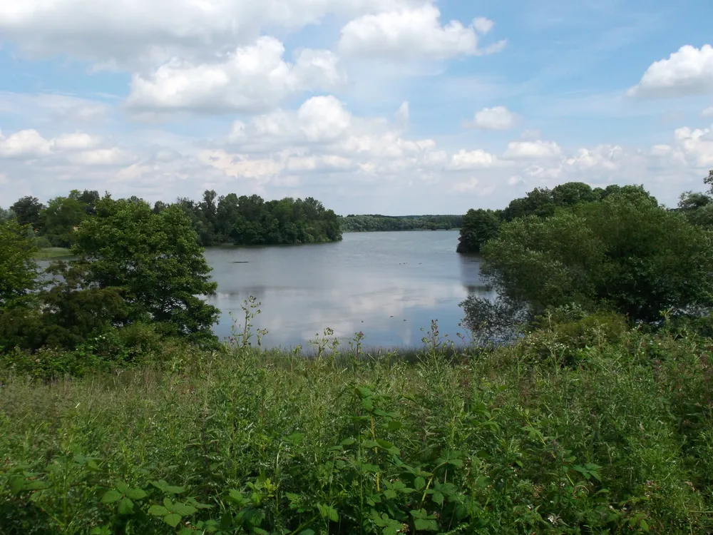 Goldensee