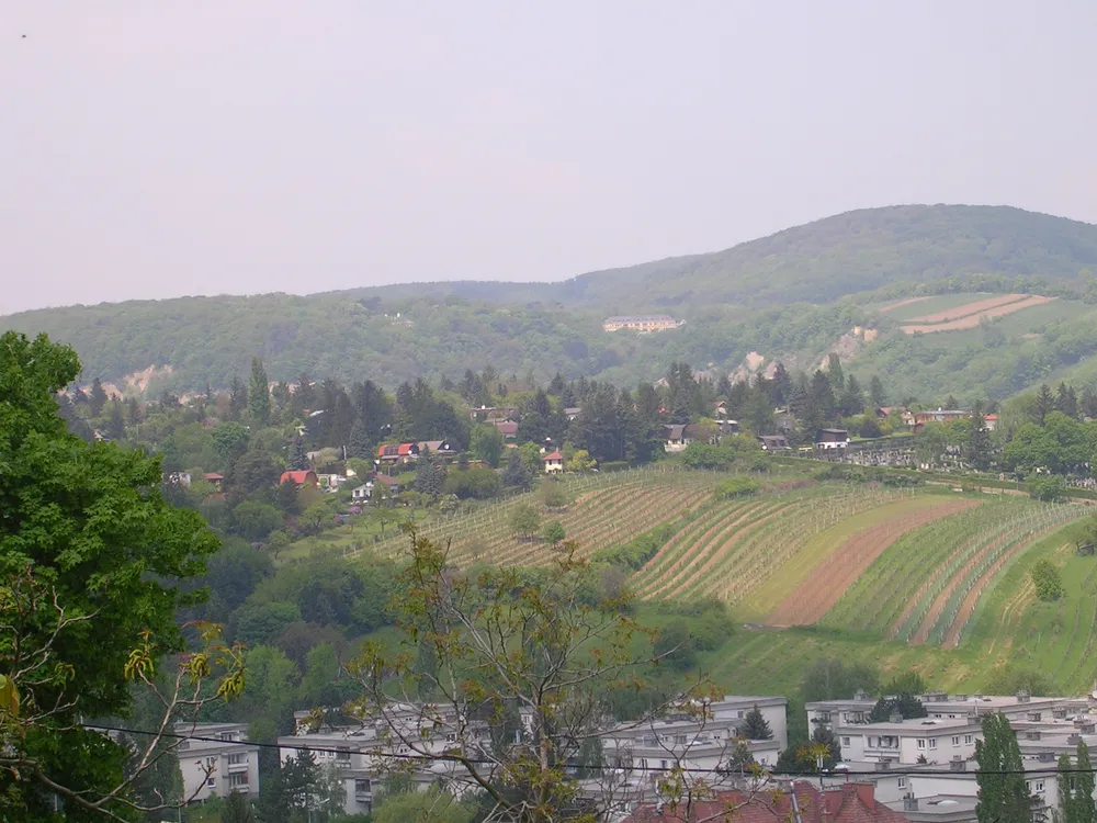 Hackenberg, Vienna