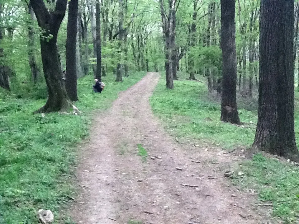 Zengő