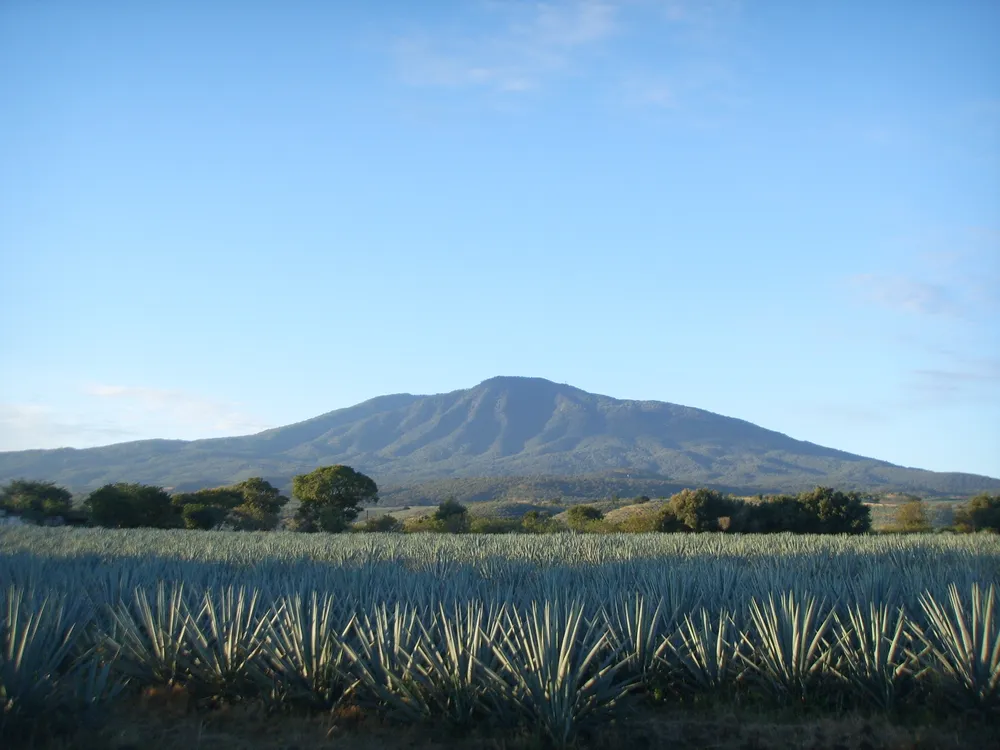 Tequila Volcano