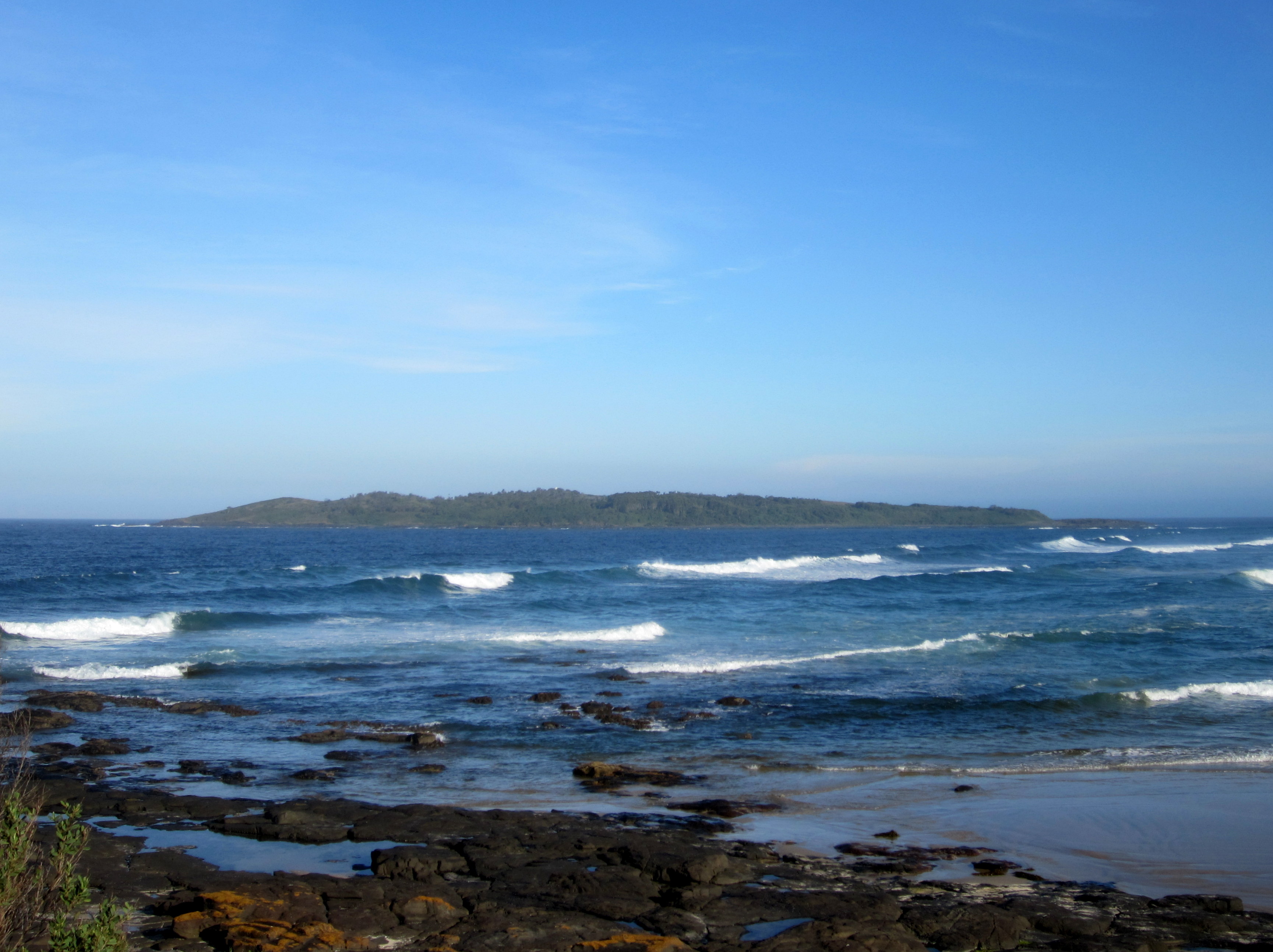 Brush Island