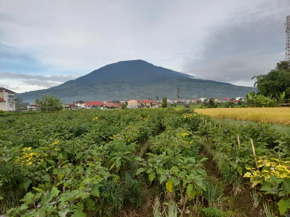 Singgalang
