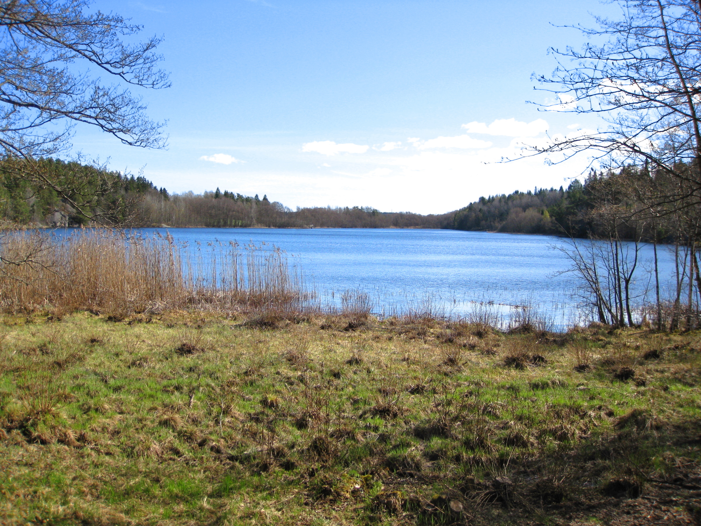 Mörtsjön