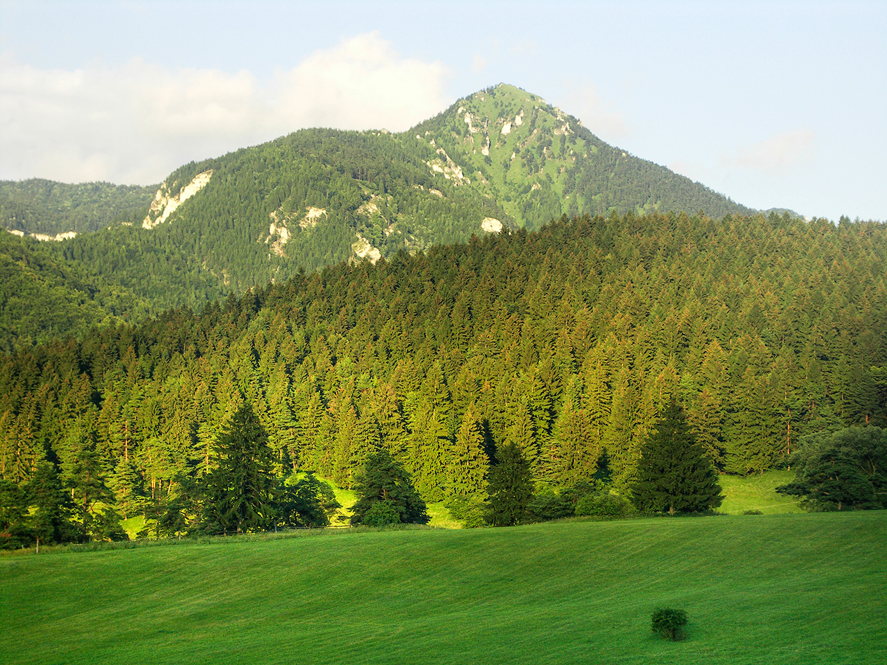 Drienok