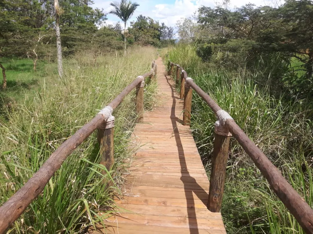 Nyandungu Urban Wetland Eco-Tourism Park, Rwanda