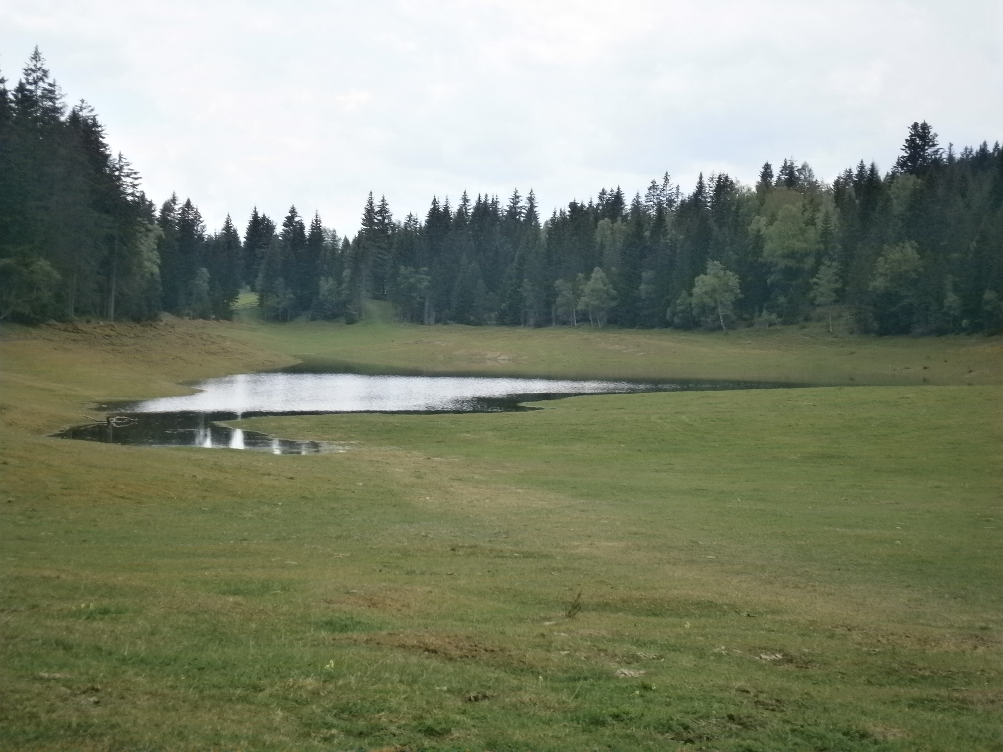 Wildmoossee