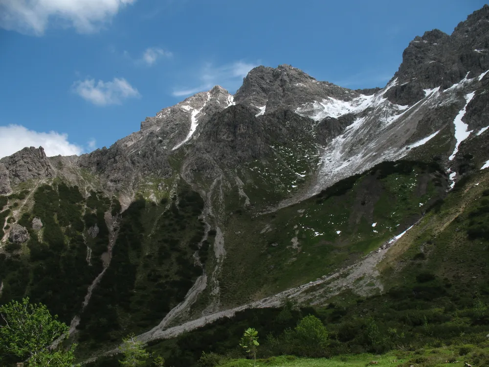 Alpgundkopf