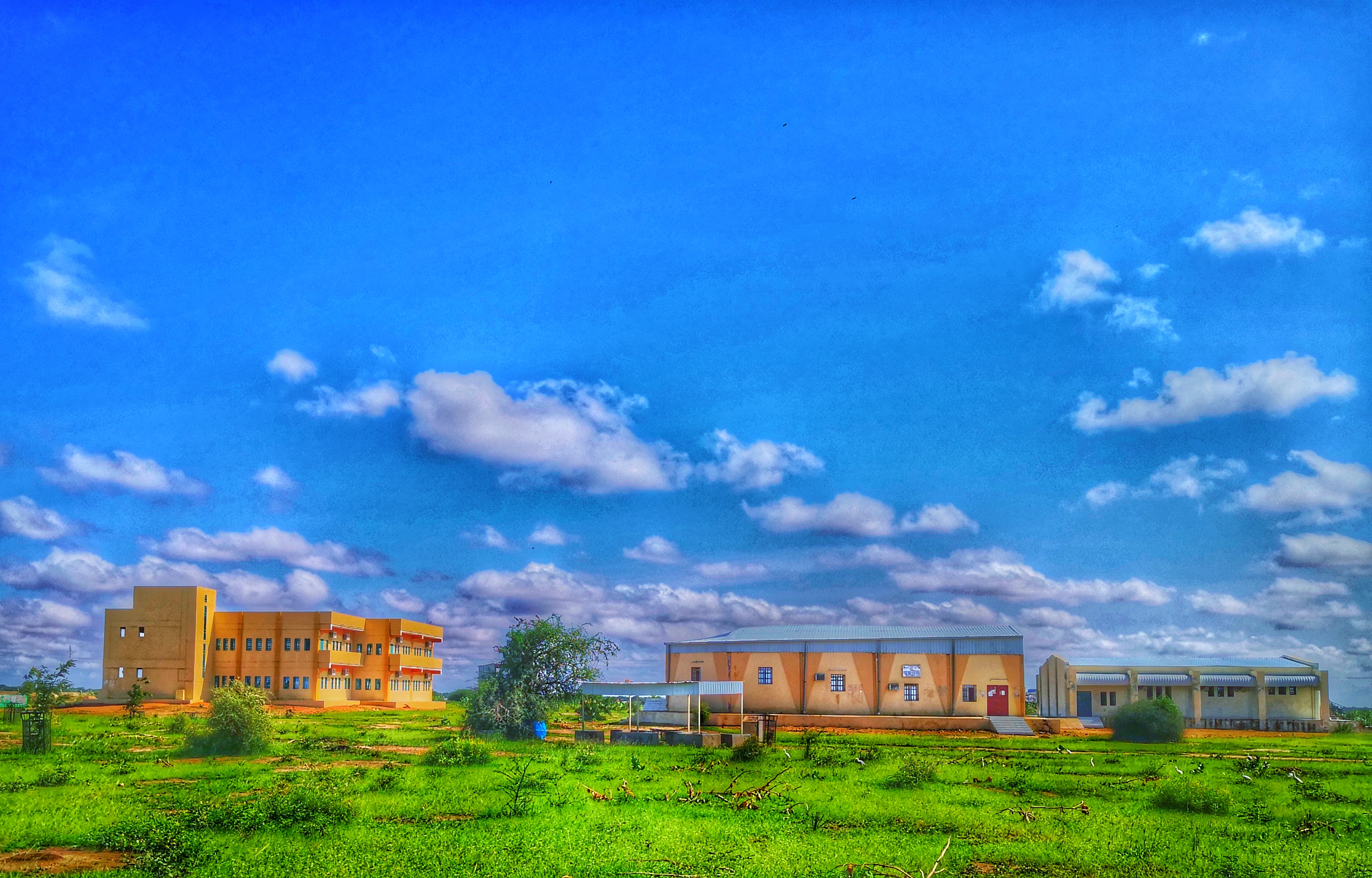 Nyala University