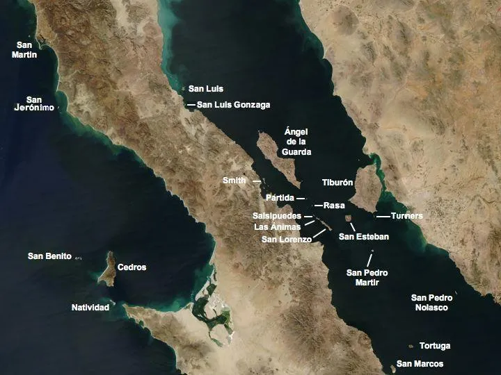 Isla Partida