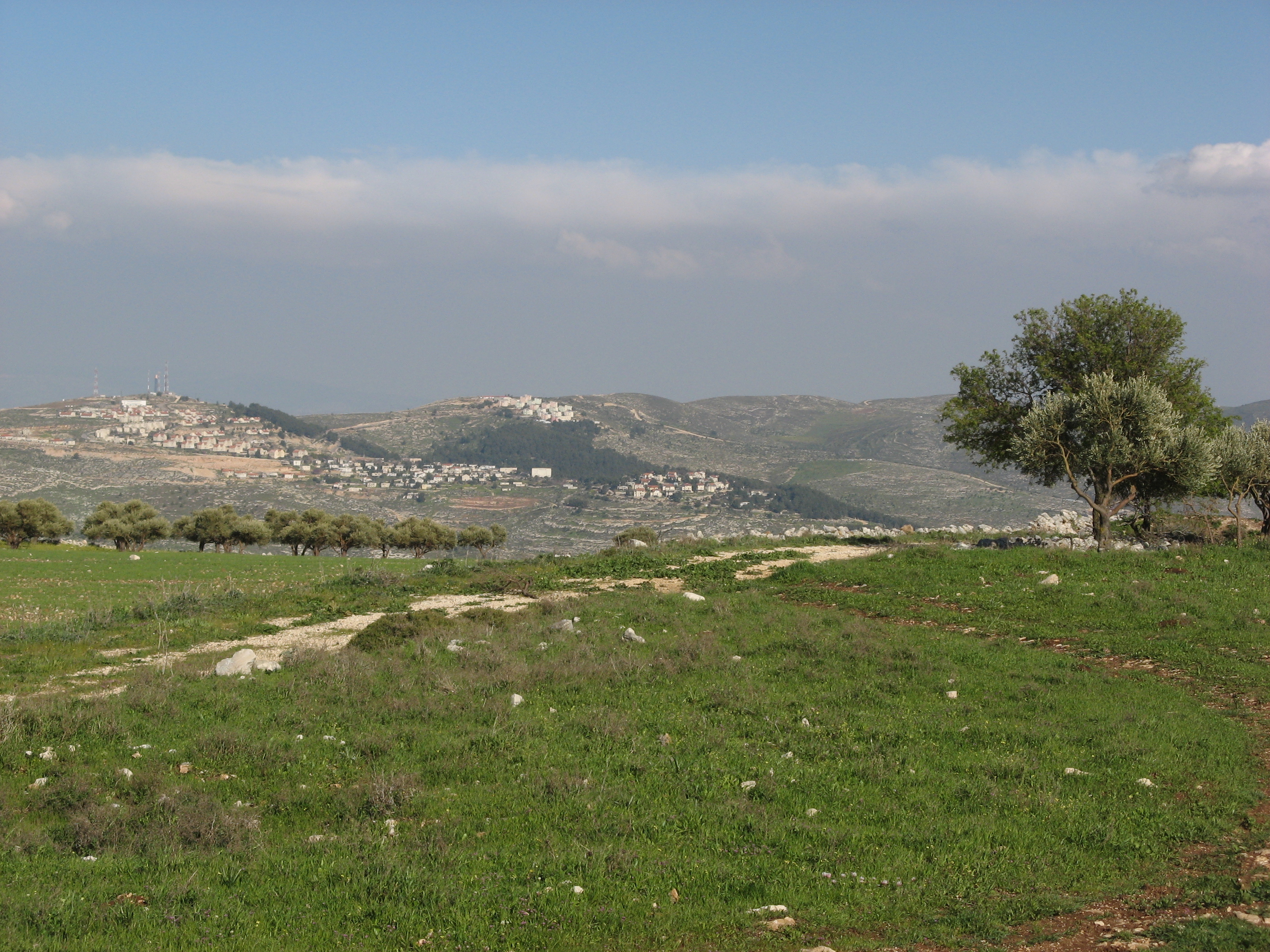 Mount Ebal