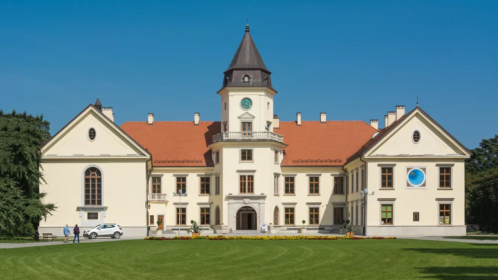 Dzików Castle