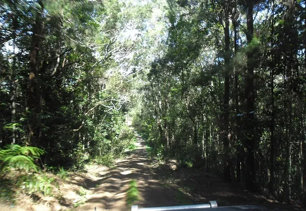 Danbulla National Park