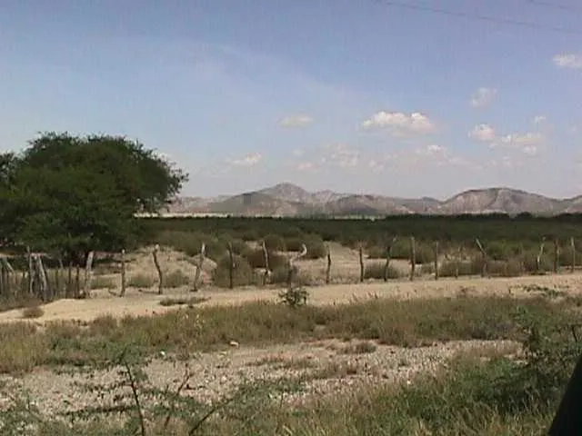 Cerro Saroche National Park