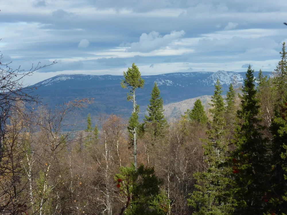 Zigalga National Park