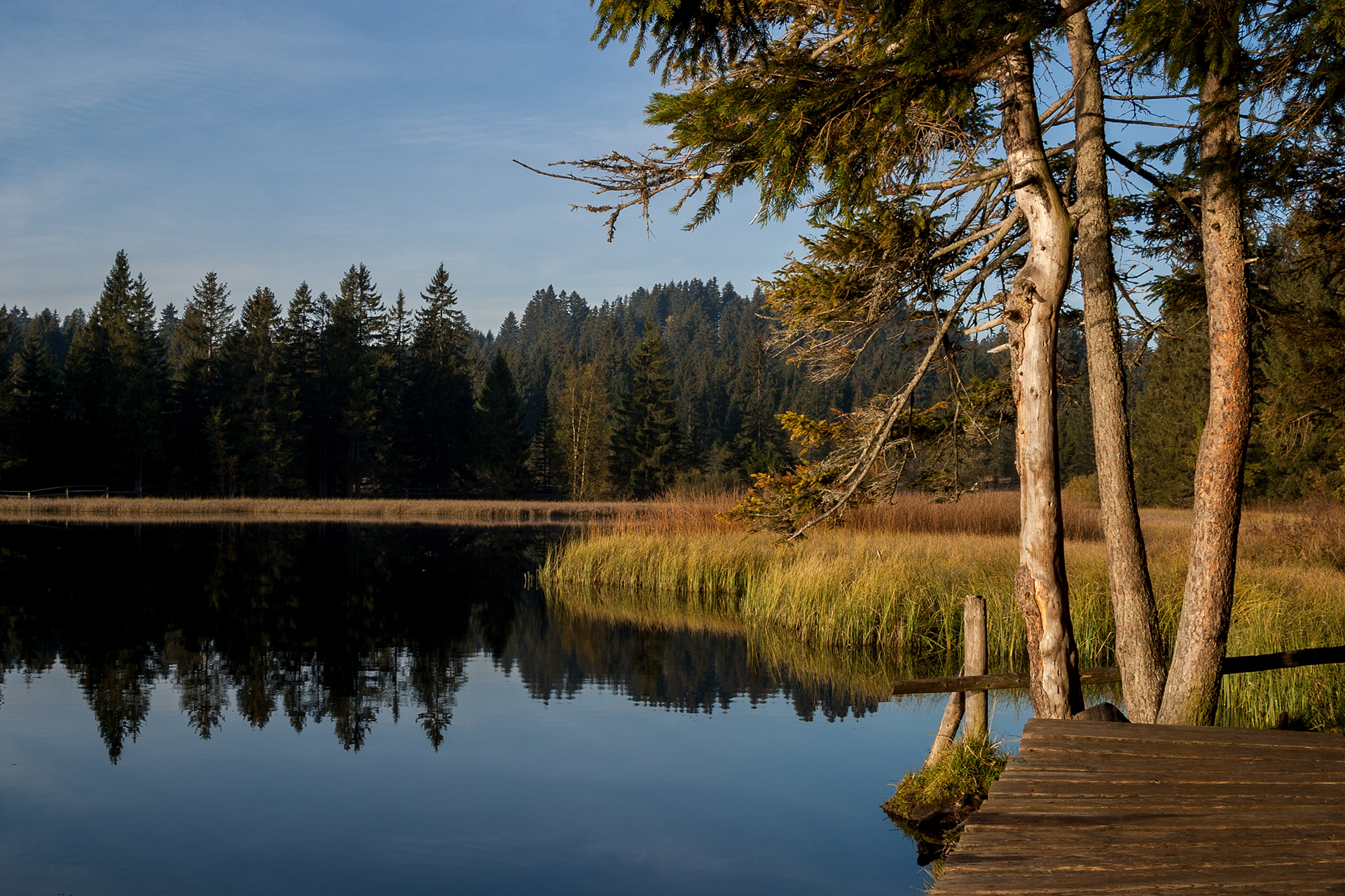 Etang de la Gruère