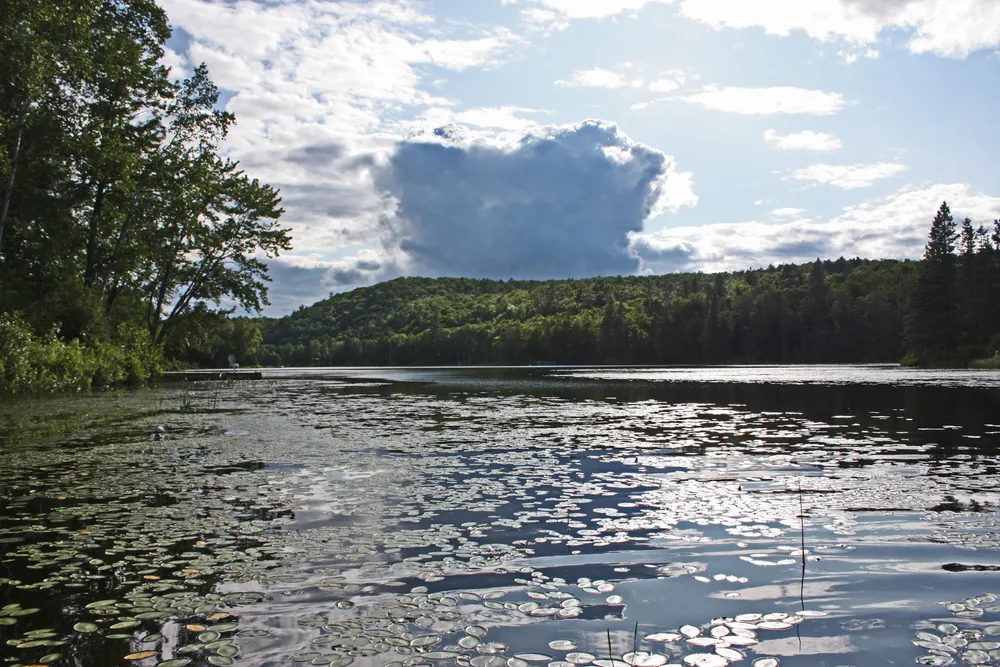 Big Mink Lake