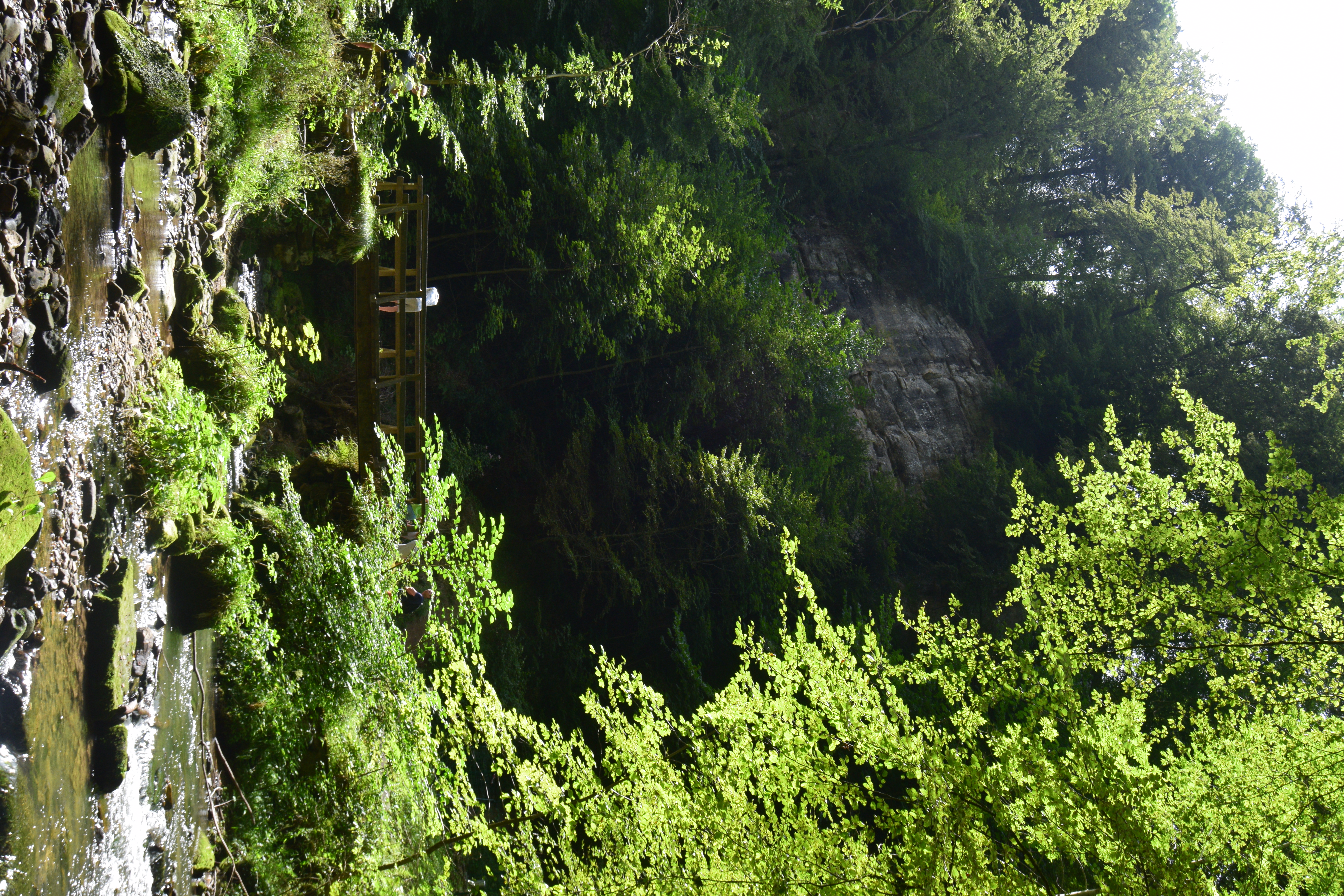 Canton of Echternach, Luxembourg