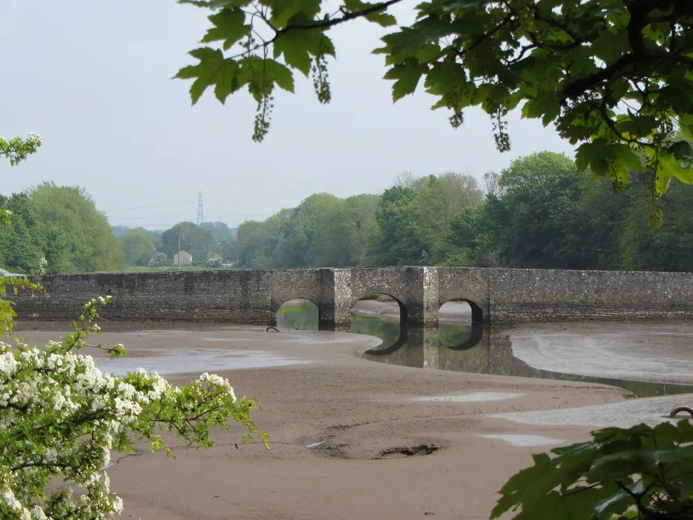 Carew Bridge