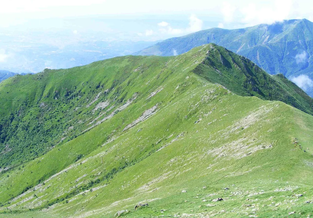 Cima del Bonom
