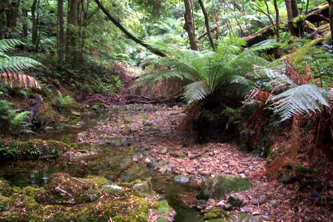 Deua National Park