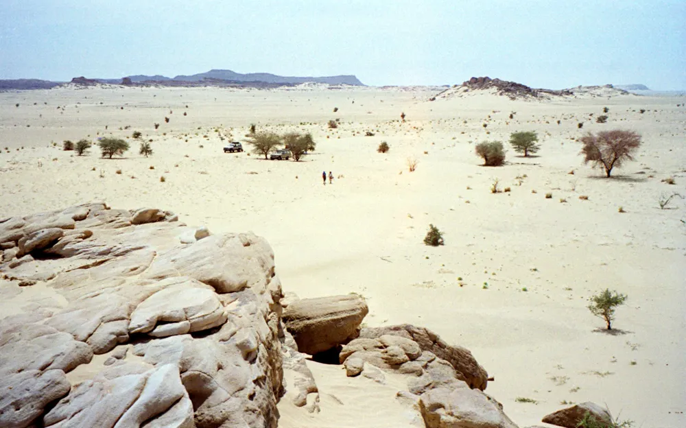 Aïr and Ténéré National Nature Reserve, Niger